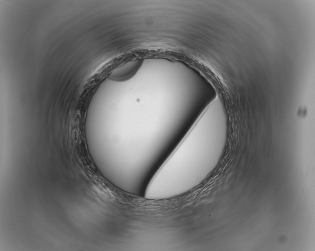 X0000096480968200801241143