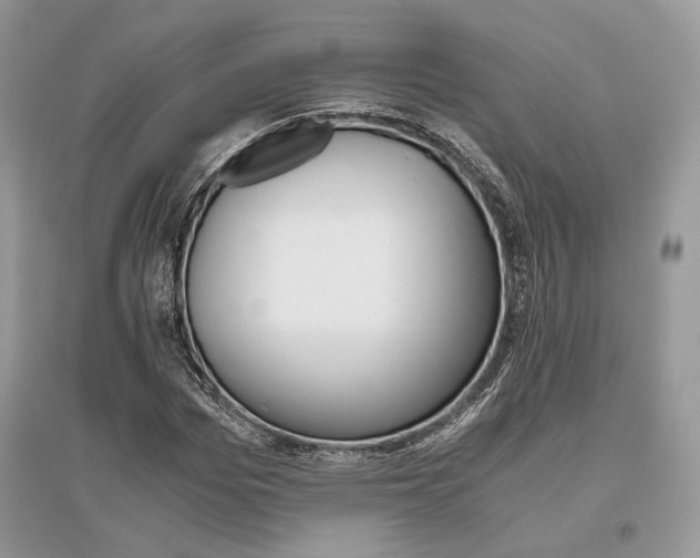 X0000096480969200801241143