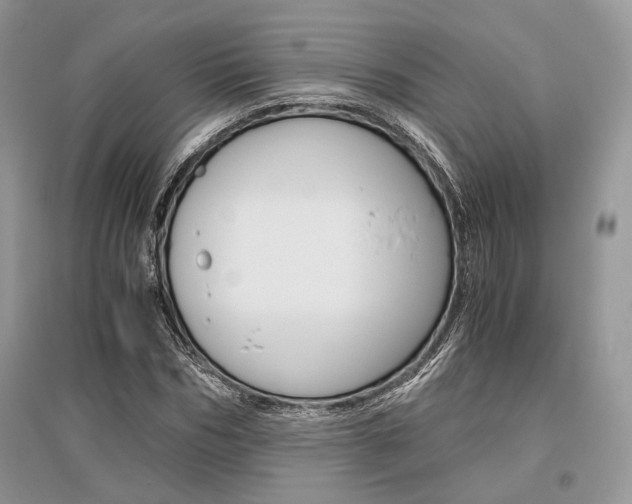 X0000096480970200801241143