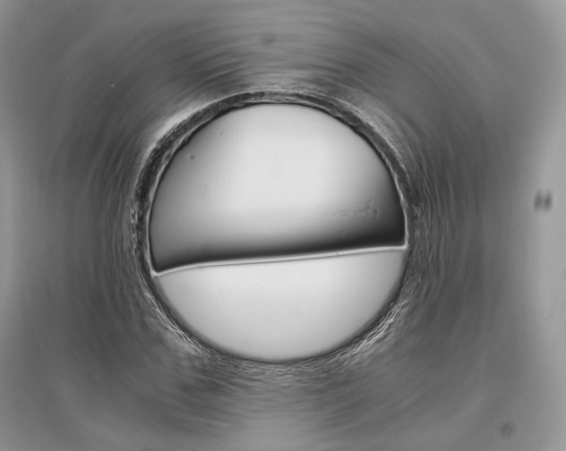 X0000096480971200801241143
