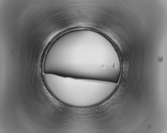 X0000096480972200801241143