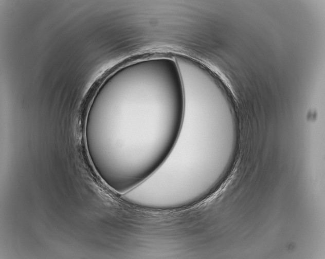 X0000096480973200801241143