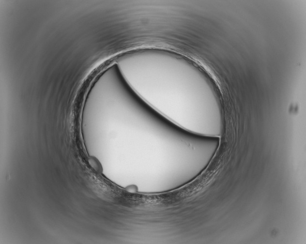 X0000096480975200801241143