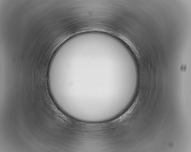 X0000096480977200801241143
