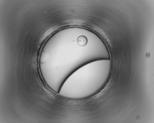 X0000096480978200801241143