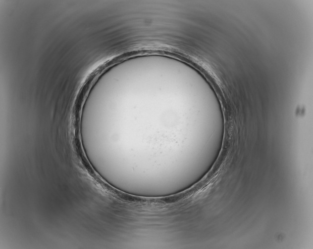 X0000096480979200801241143