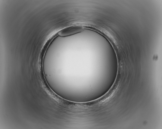 X0000096480981200801241143