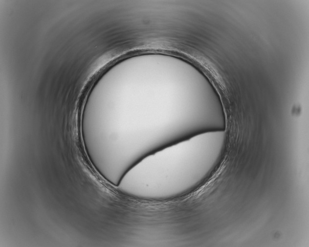 X0000096480982200801241143