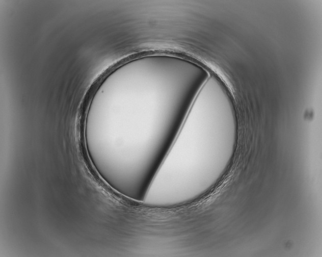 X0000096480983200801241143