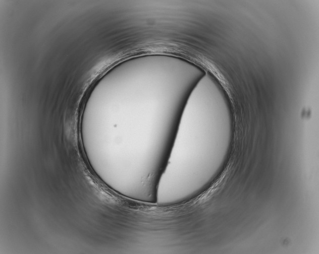 X0000096480986200801241143