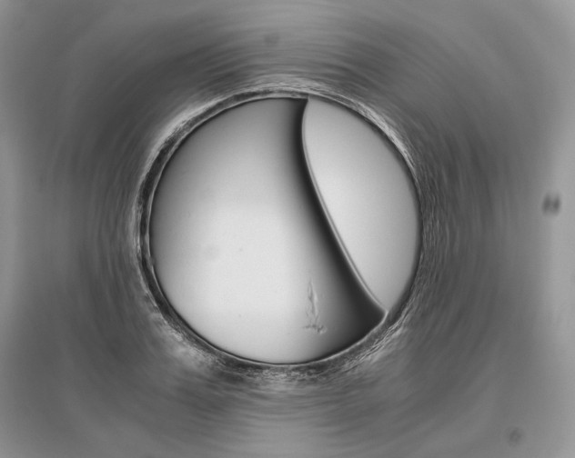 X0000096480987200801241143