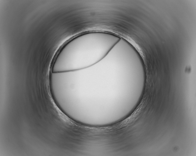 X0000096480988200801241143
