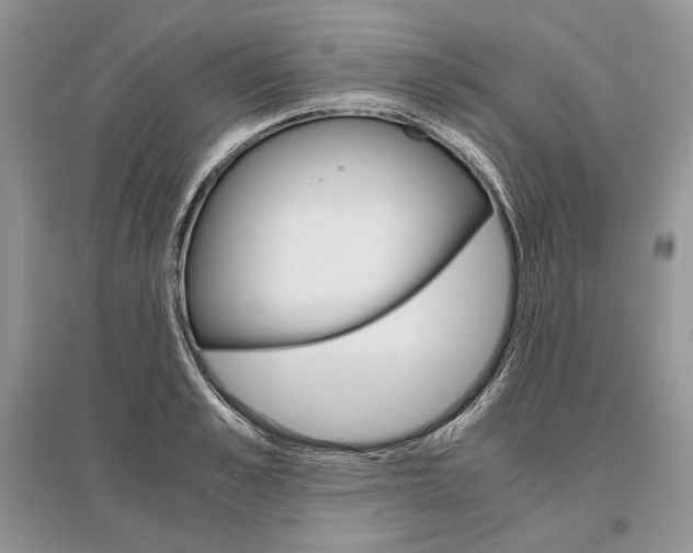 X0000096480989200801241143