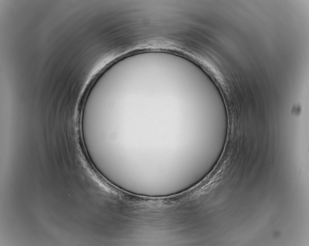 X0000096480990200801241143