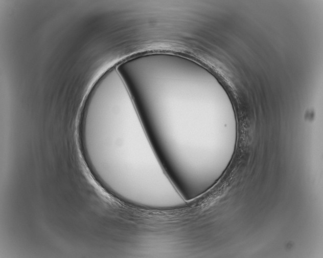 X0000096480991200801241143
