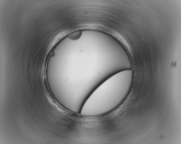 X0000096480994200801241142