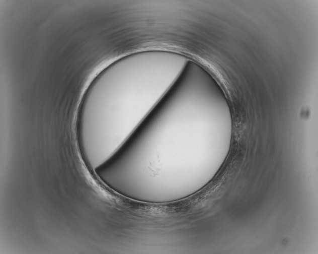 X0000096480995200801241142