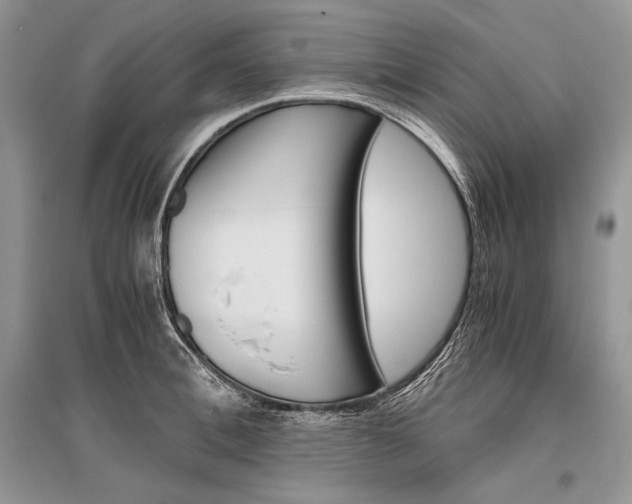 X0000096480996200801241142