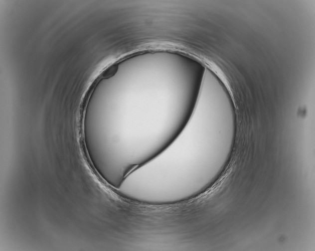 X0000096480997200801241142