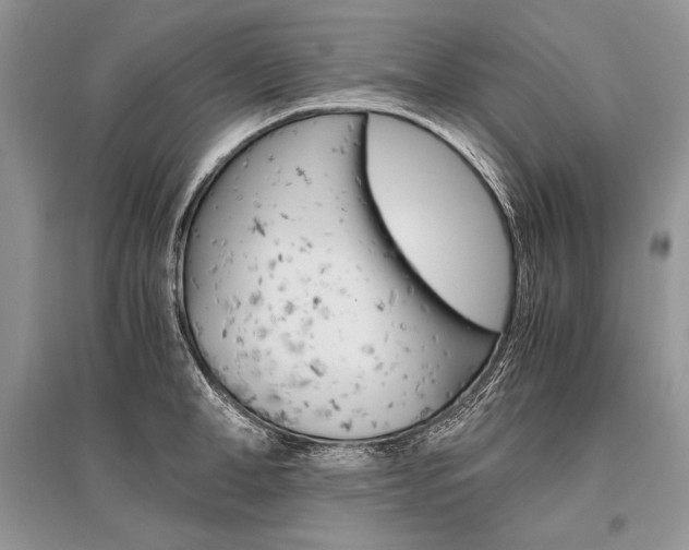 X0000096480998200801241142