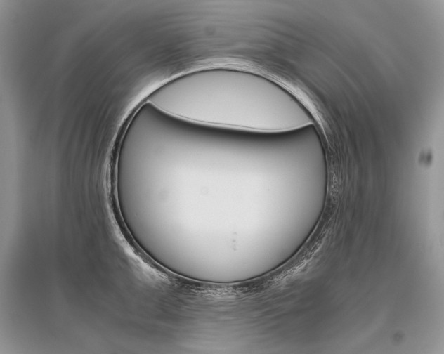 X0000096480999200801241142