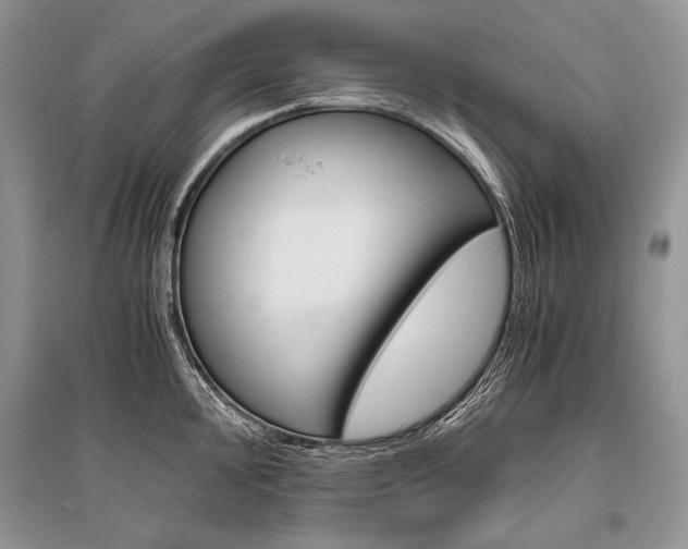 X0000096481000200801241142