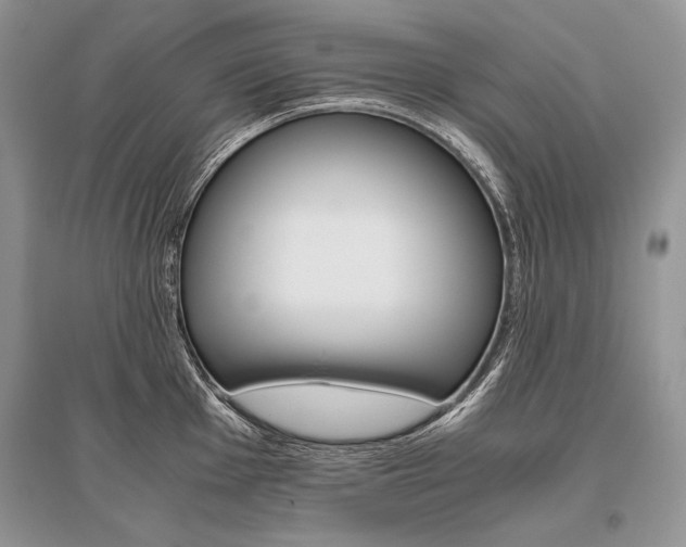 X0000096481001200801241142