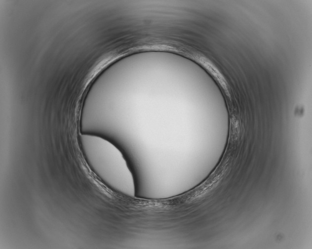 X0000096481002200801241142