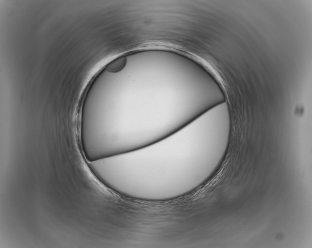 X0000096481003200801241142