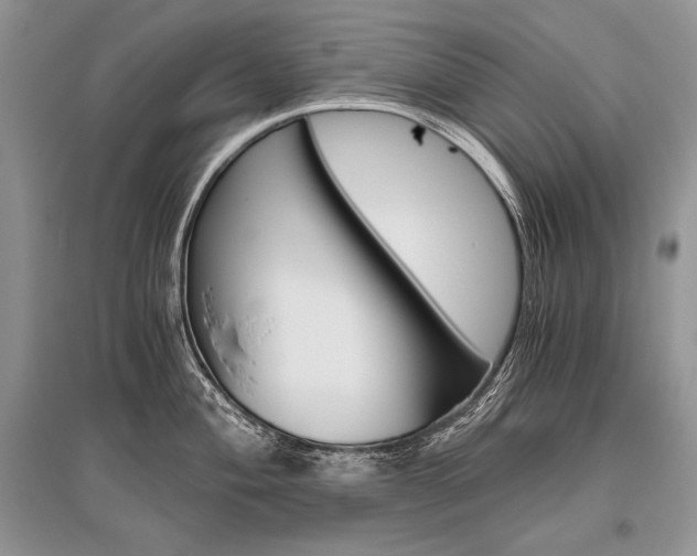 X0000096481004200801241142