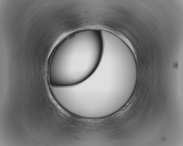 X0000096481005200801241142