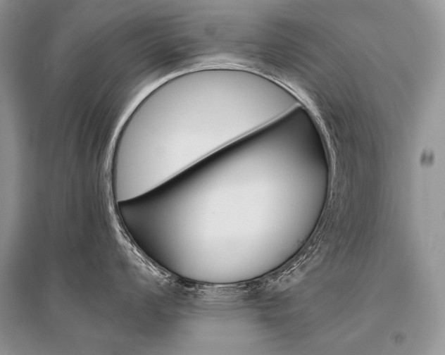 X0000096481008200801241142