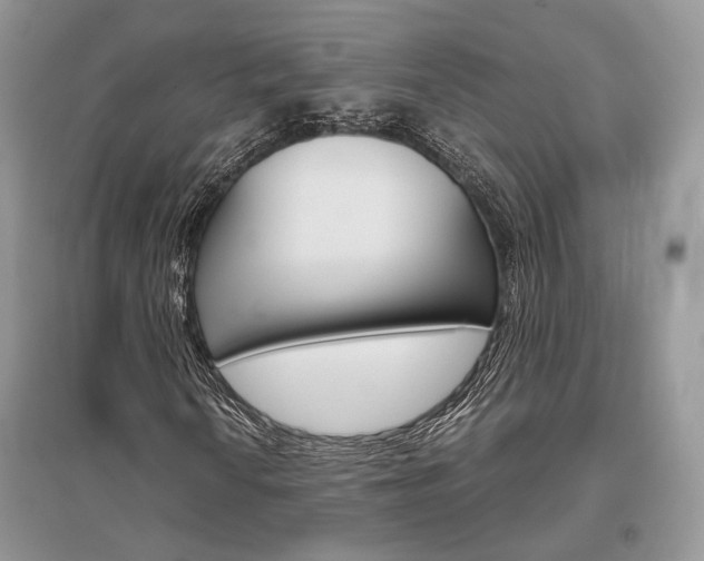X0000096481010200801241142
