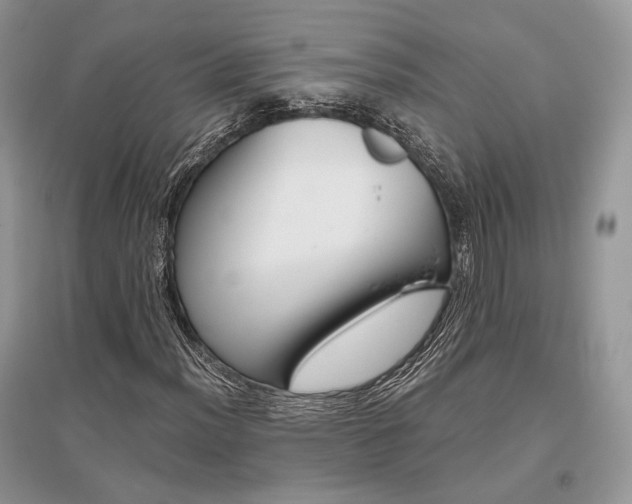 X0000096481012200801241142