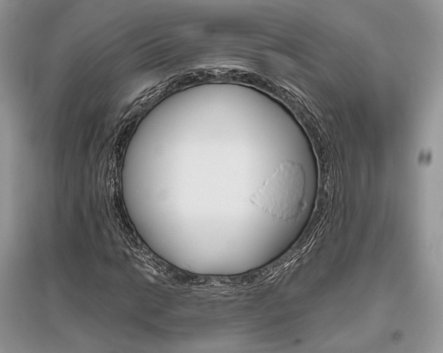 X0000096481014200801241142
