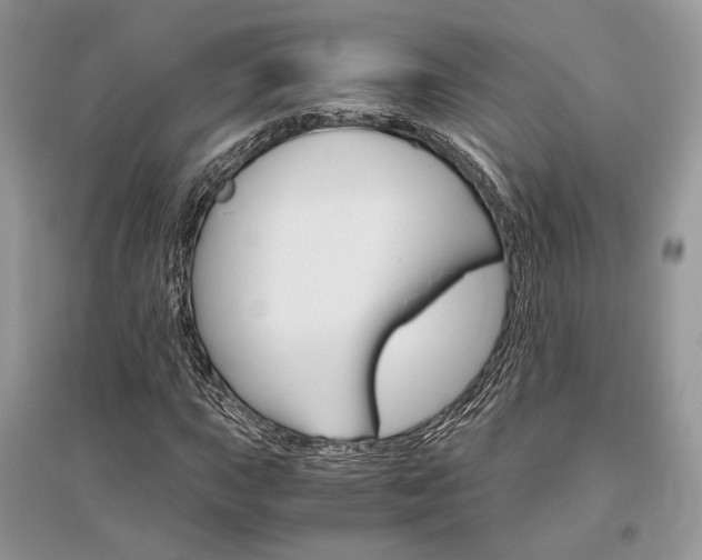 X0000096481015200801241142