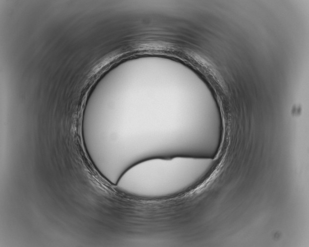 X0000096481017200801241142