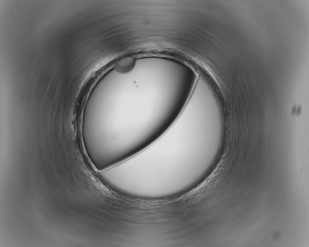 X0000096481018200801241142