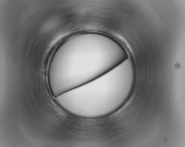 X0000096481019200801241142