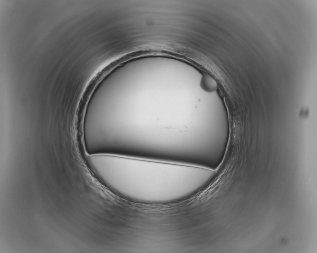 X0000096481020200801241142