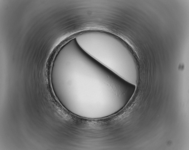 X0000096481022200801241142