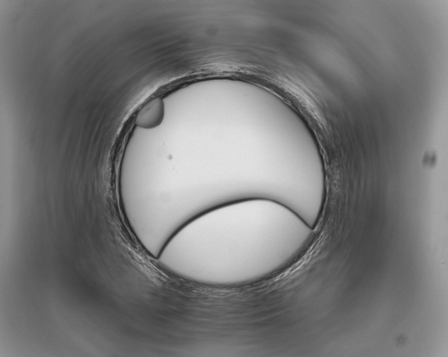 X0000096481023200801241142