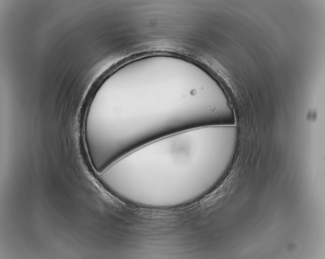 X0000096481024200801241142