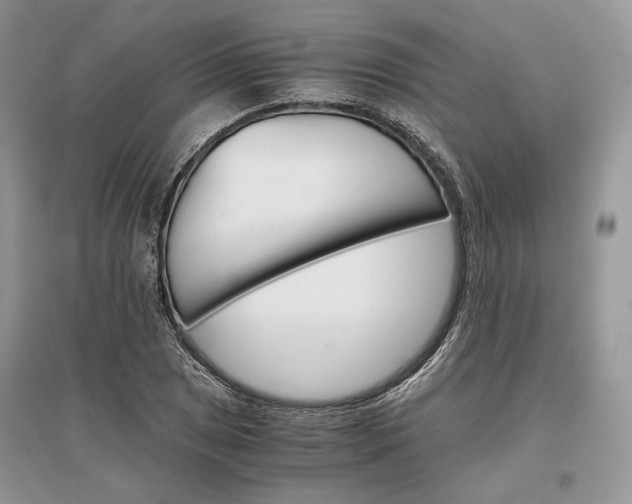 X0000096481025200801241142