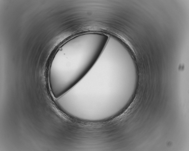 X0000096481026200801241142