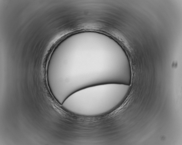 X0000096481027200801241142