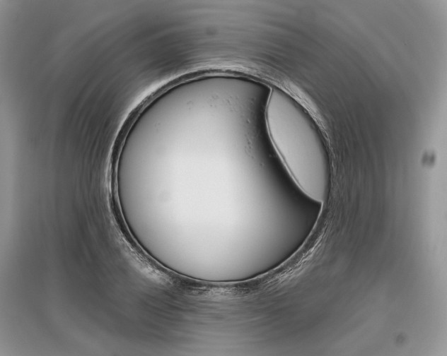 X0000096481028200801241142