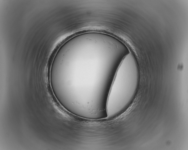 X0000096481030200801241142