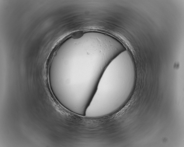 X0000096481031200801241142