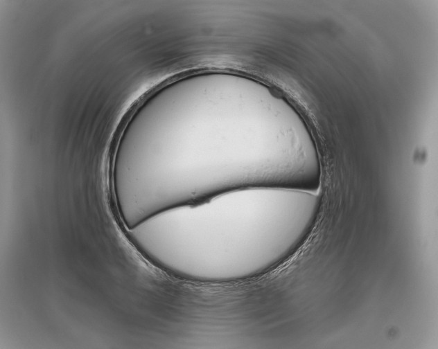 X0000096481032200801241142